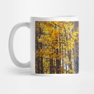 Colorado Aspen Trees in Fall Mug